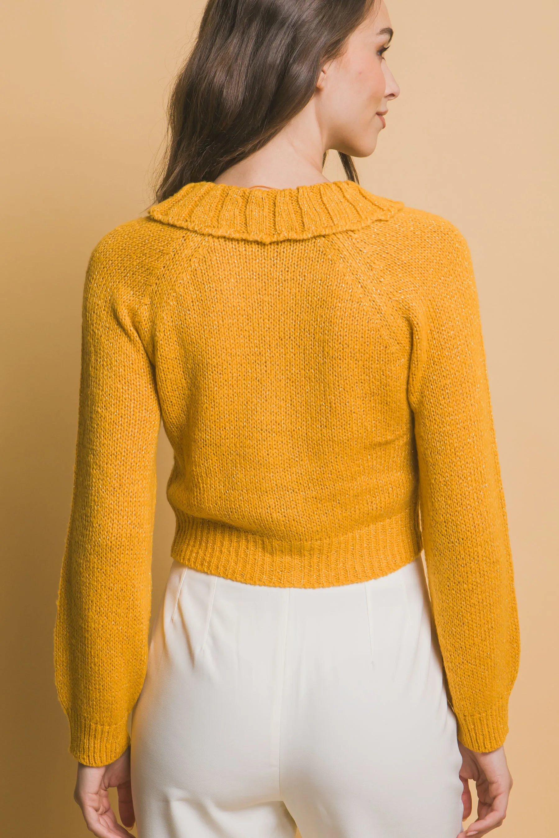 Chic Short Collared Button-Up Top Sweater