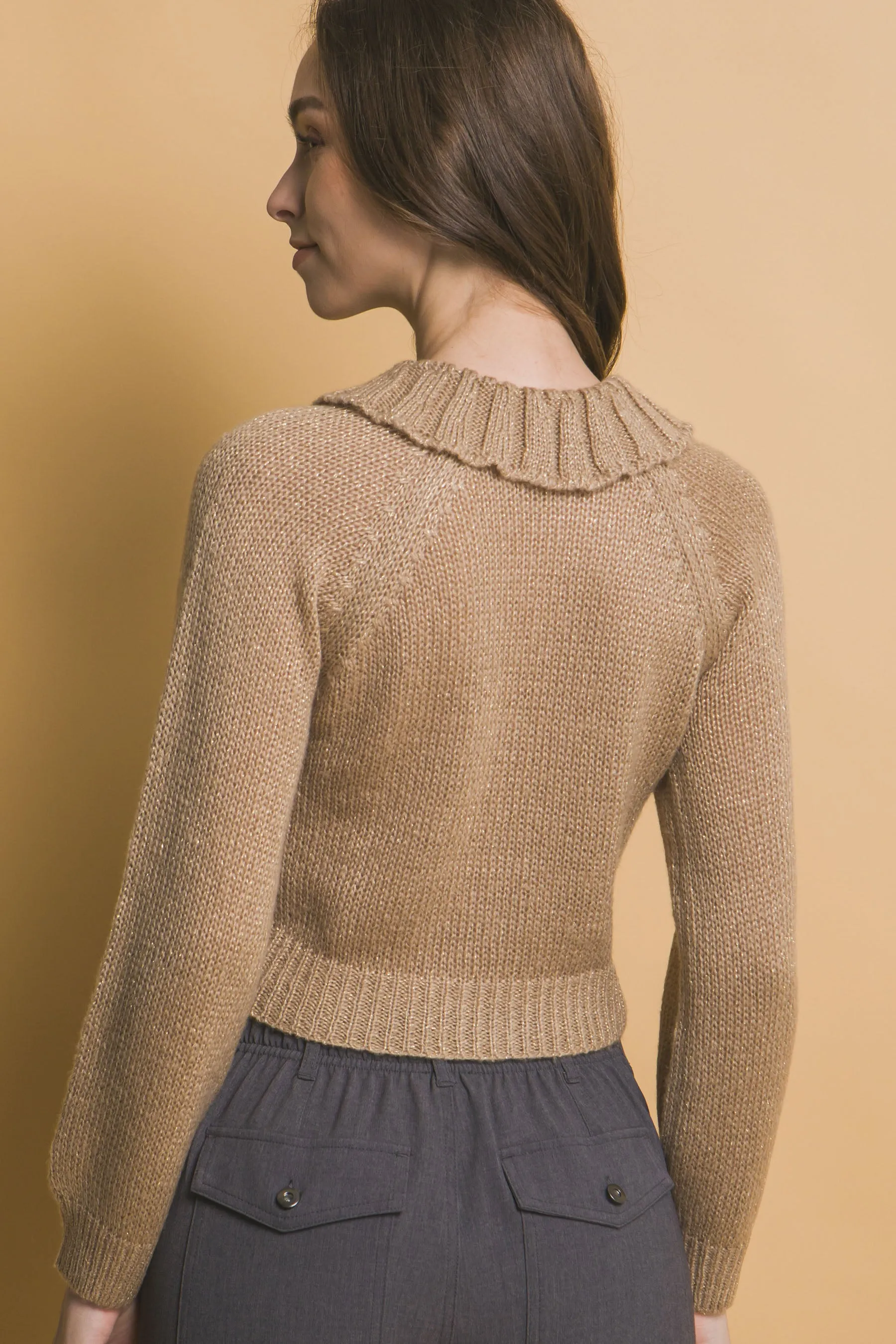 Chic Short Collared Button-Up Top Sweater