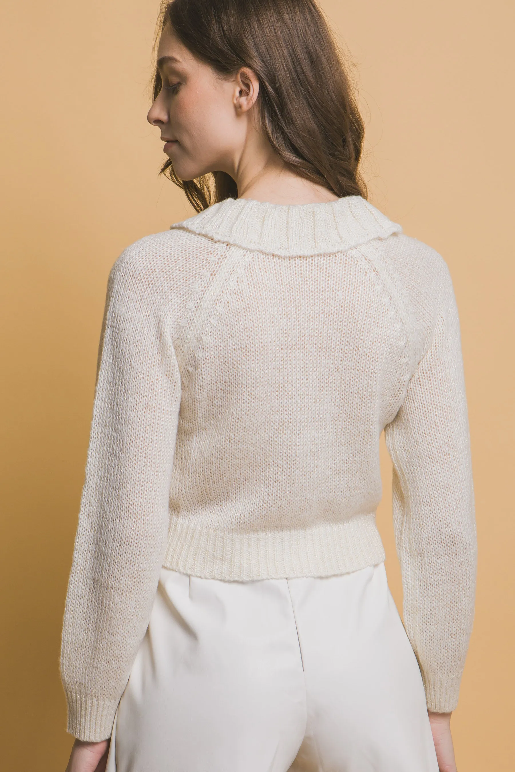 Chic Short Collared Button-Up Top Sweater